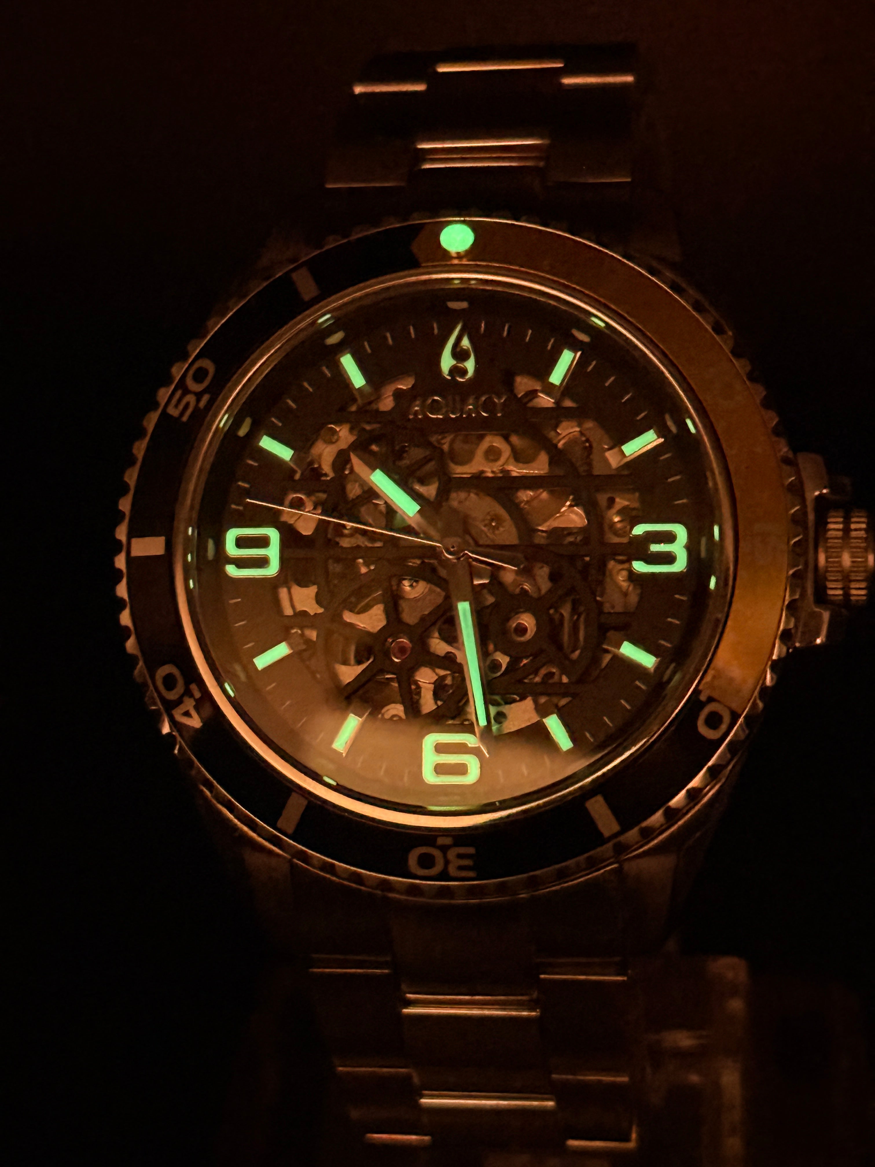 Aquacy Hei Matau Skeleton Automatic Dive Watch